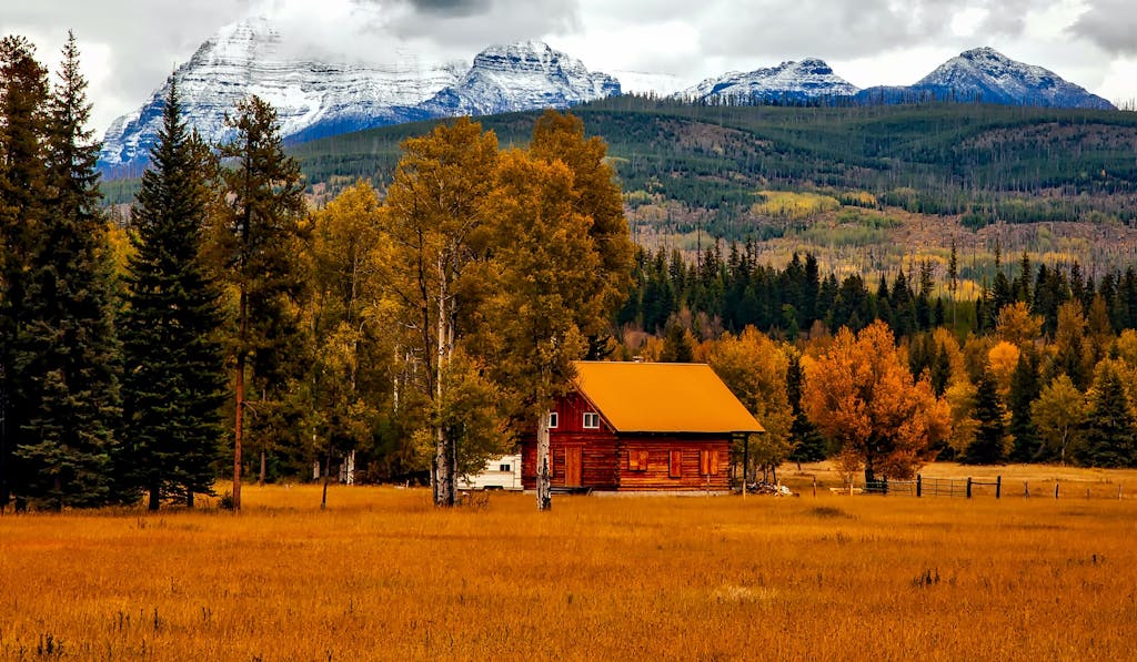 Brown Cabin Near Trees and Mountains - The Explore Horizon