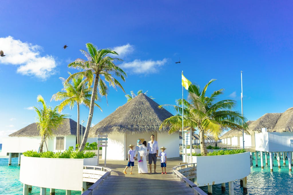 Green Palm Trees and White Gazebo - The Explore Horizon