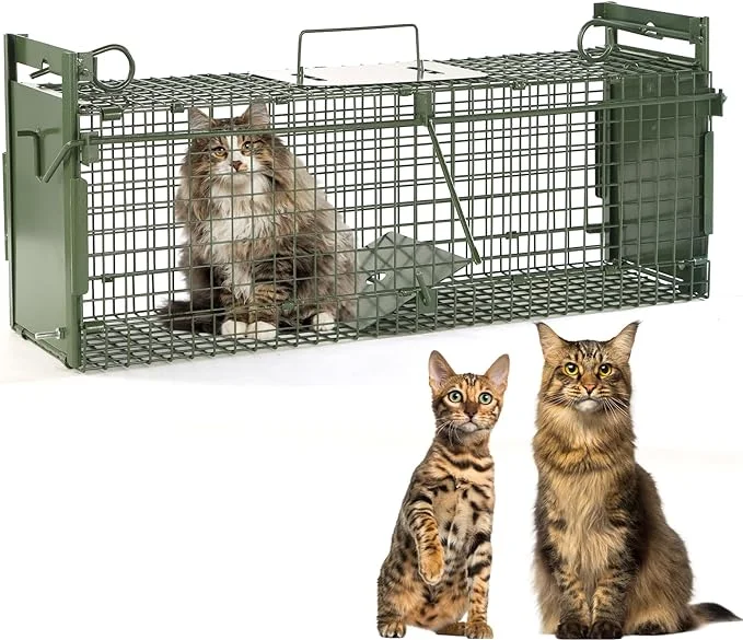 2-Door Large Live Animal Traps for Stray Cats up to 17.6 pounds, Raccoons, Squirrel, Skunk, Mole, Groundhog, Armadillo, Rabbit, with Pedal Triggers | Epic Reading Wildlife : A Ultimate Complete Guide - The Explore Horizon